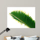 bottle palm leaf Wall Decal