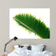 bottle palm leaf Wall Decal