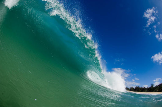 Wave Wall Mural