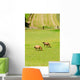 Horses Wall Mural