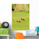 Horses Wall Mural