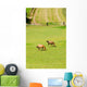 Horses Wall Mural