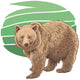 Kodiak bear Wall Decal