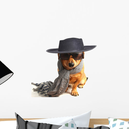 little dog 