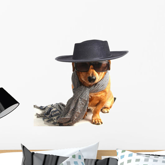little dog 