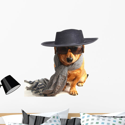 little dog 