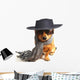 little dog 