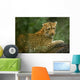 Leopard Wall Mural