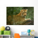 Leopard Wall Mural