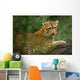 Leopard Wall Mural