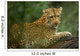 Leopard Wall Mural