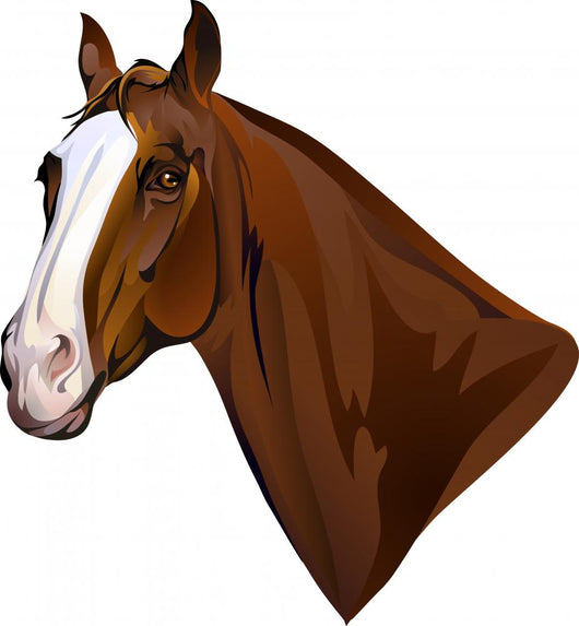 horse head turning looks Wall Decal