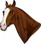 horse head turning looks Wall Decal