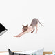Bald Cat Wall Decal