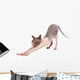 Bald Cat Wall Decal