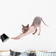 Bald Cat Wall Decal