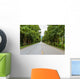 Countryside road with Teak trees Wall Mural