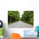 Countryside road with Teak trees Wall Mural