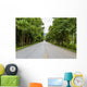 Countryside road with Teak trees Wall Mural