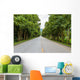 Countryside road with Teak trees Wall Mural