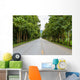 Countryside road with Teak trees Wall Mural