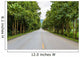 Countryside road with Teak trees Wall Mural