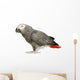 African Grey Parrot in front of a white background Wall Decal