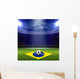 Soccer Staduim Brazil Flag 