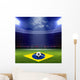 Soccer Staduim Brazil Flag 