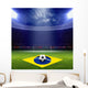 Soccer Staduim Brazil Flag 