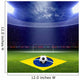 Soccer Staduim Brazil Flag 