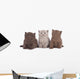 Kitten Three - Three British Shorthair Kitten Next to Each Other Wall Decal
