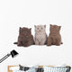 Kitten Three - Three British Shorthair Kitten Next to Each Other Wall Decal