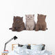 Kitten Three - Three British Shorthair Kitten Next to Each Other Wall Decal