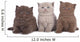 Kitten Three - Three British Shorthair Kitten Next to Each Other Wall Decal
