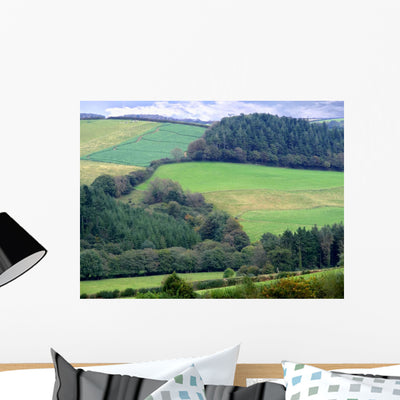 Landscape Wall Mural shown on a wall