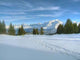 Snow Landscape Wall Decal