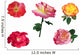 Collection of Five Roses Wall Decal