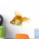 Goldfish in front of a white background Wall Decal
