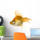 Goldfish in front of a white background Wall Decal