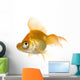 Goldfish in front of a white background Wall Decal