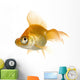 Goldfish in front of a white background Wall Decal