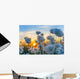 Cotton grass on a background of the sunset sky 