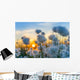Cotton grass on a background of the sunset sky 
