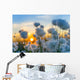 Cotton grass on a background of the sunset sky 
