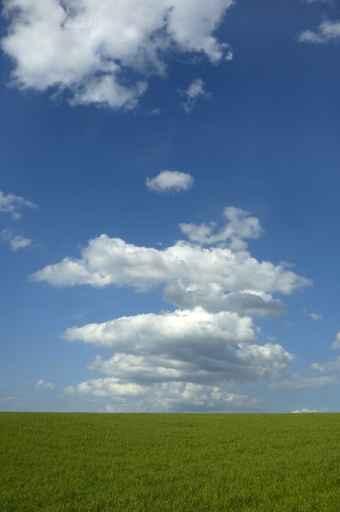 Himmel Wall Decal Design 1
