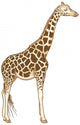 Giraffe Wall Decal