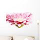 pink gerber daisy Wall Mural