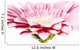 pink gerber daisy Wall Mural