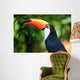Toucan (Ramphastos toco) 